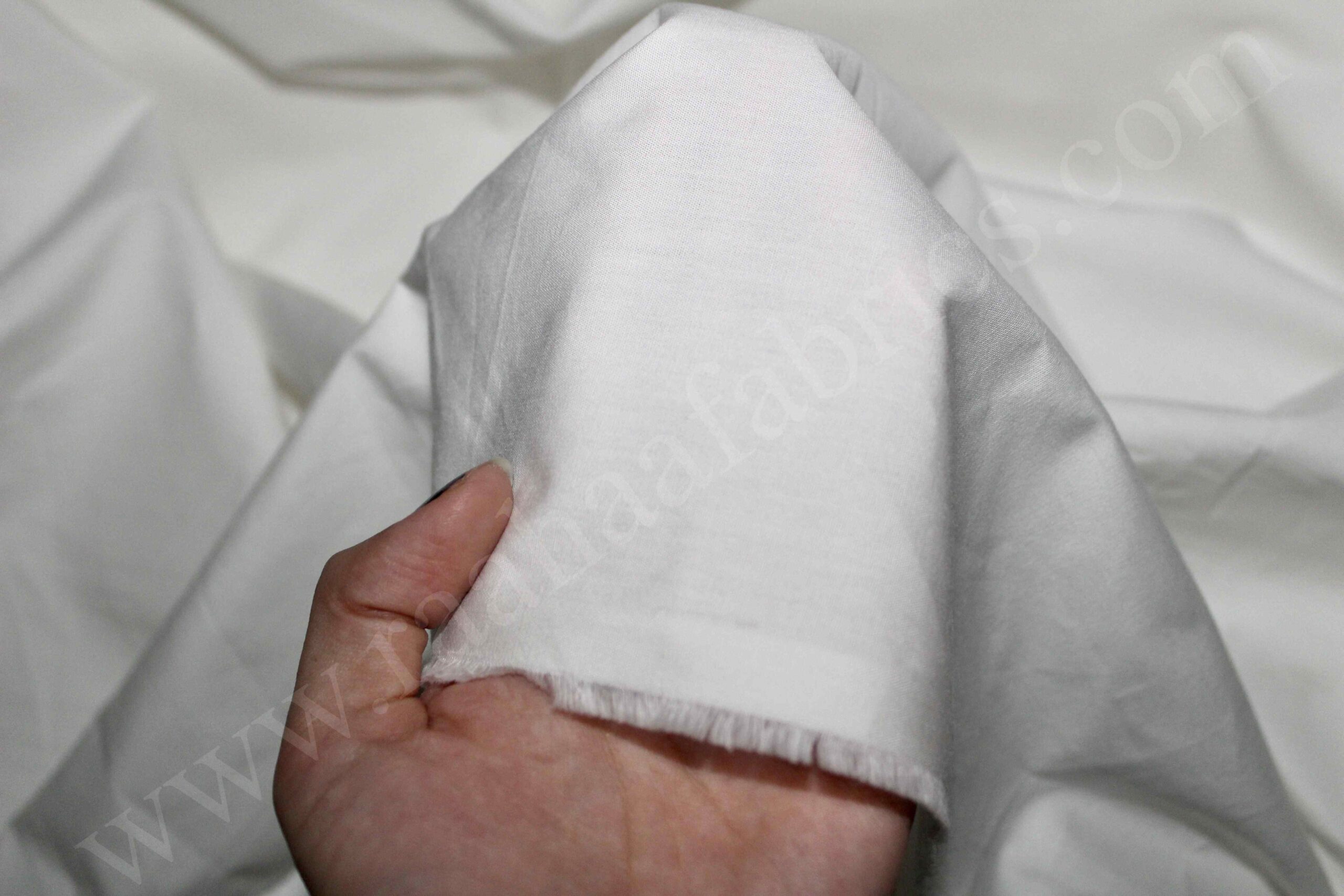 GOTS Certified Organic Cotton (Dyeable) - Image 2